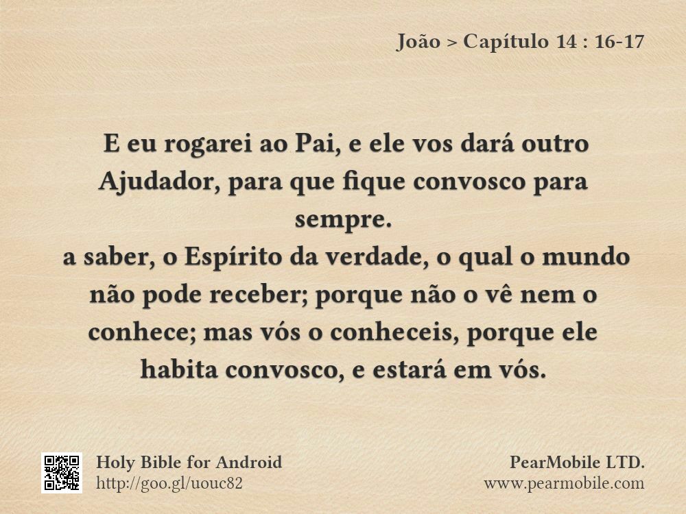 João, Capítulo 14:16-17
